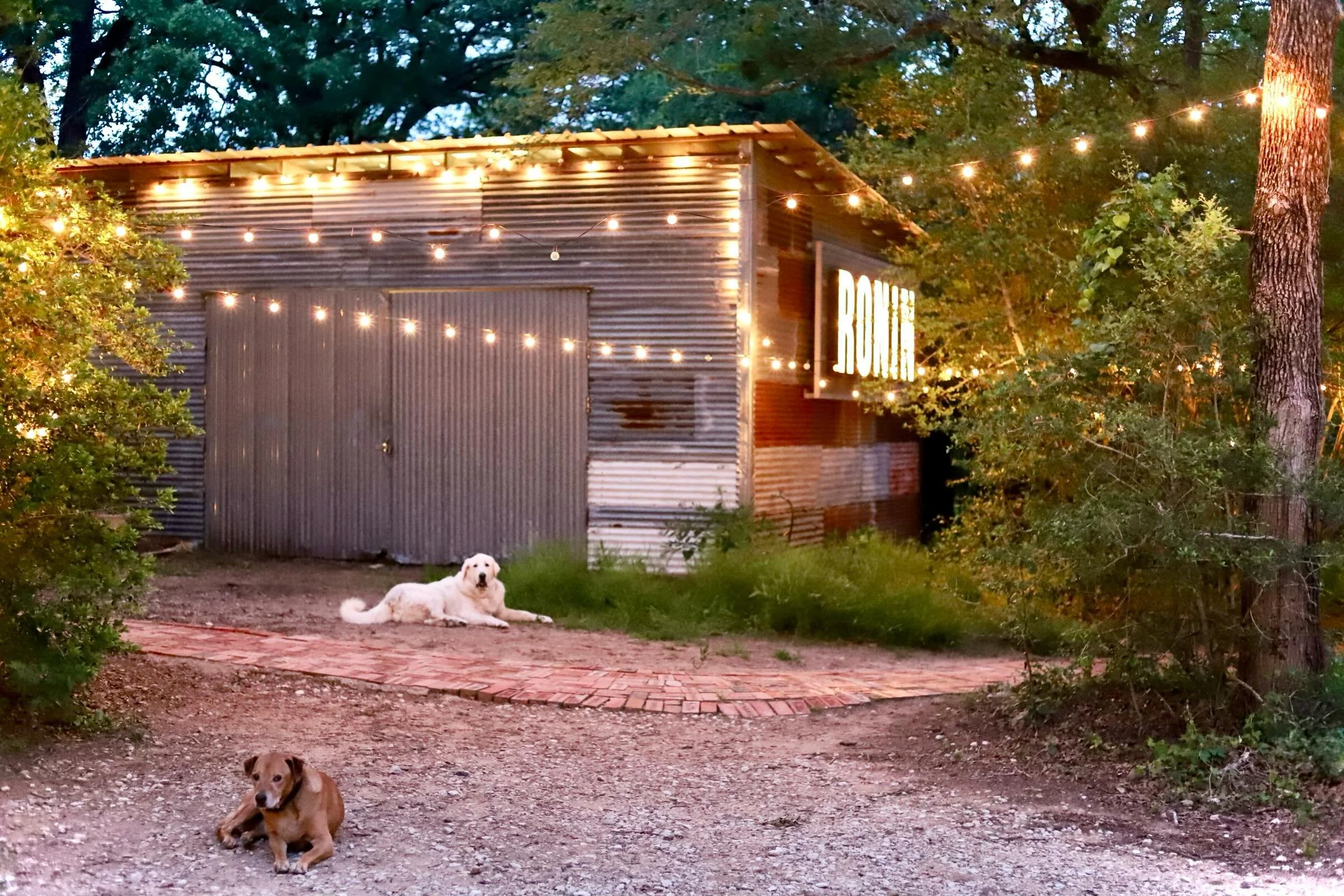 An evening at Ronin Farm